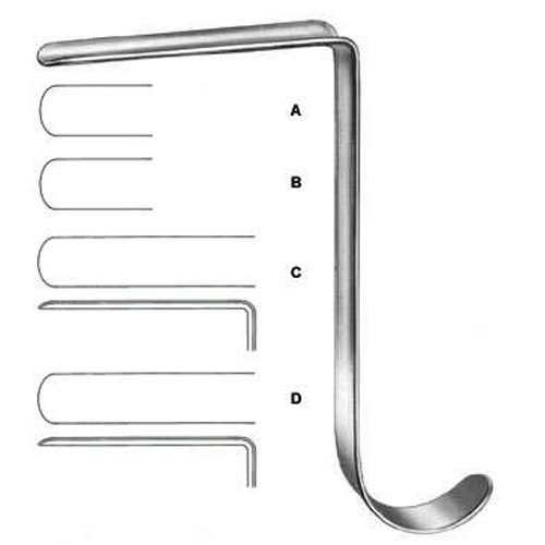 Rhinology